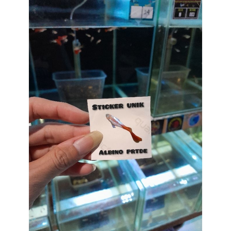 

STICKER UNIK_Albino_prtde_1pasang