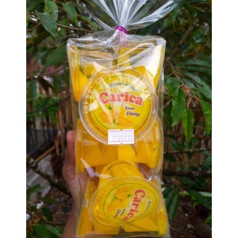 

Carica Khas Wonosobo (Bonus baby gold)