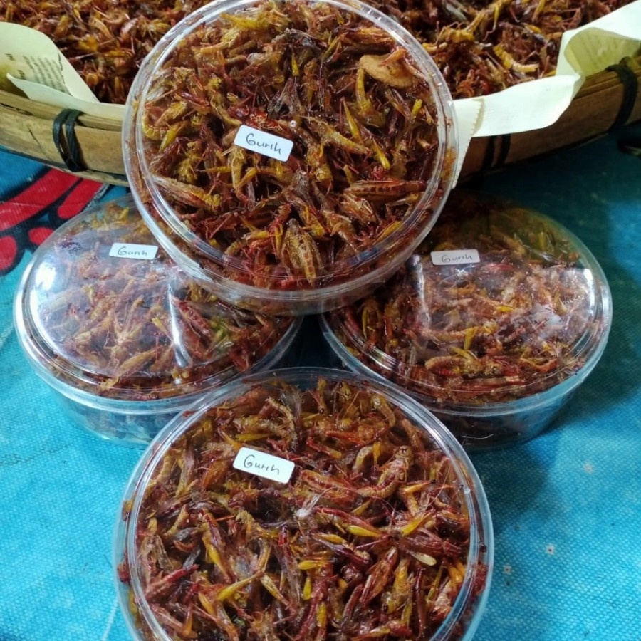 

beli satu dapat 5 toples belalang utis goreng padi beras cemilan kaya protein