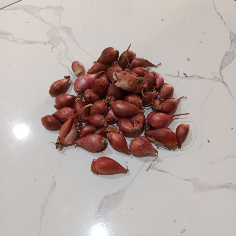 

Bawang Merah Brebes ayakan / Ulekan 1kg