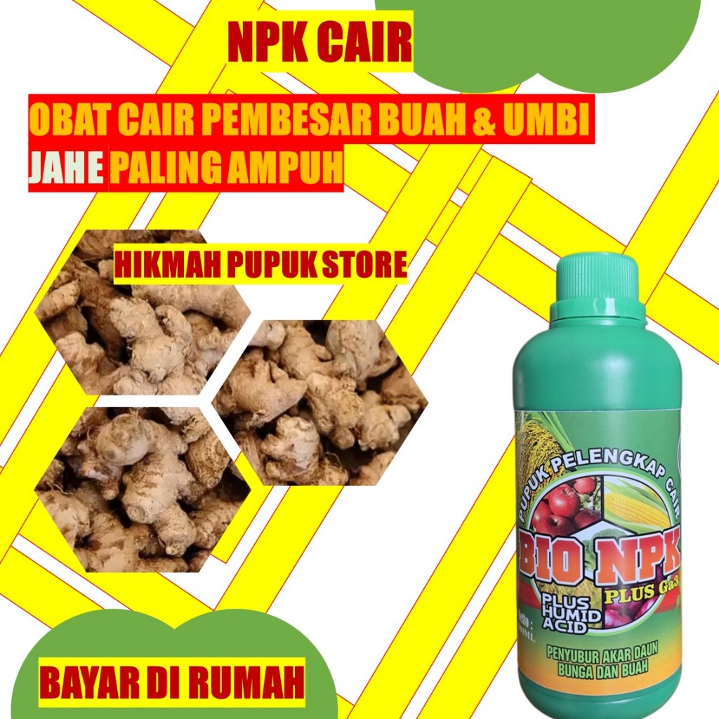 Pupuk Cair Tanaman Jahe, Pupuk Jahe Agar Berbuah Cepat Memperbanyak Batang Bunga Dan Buah Tanaman Ja