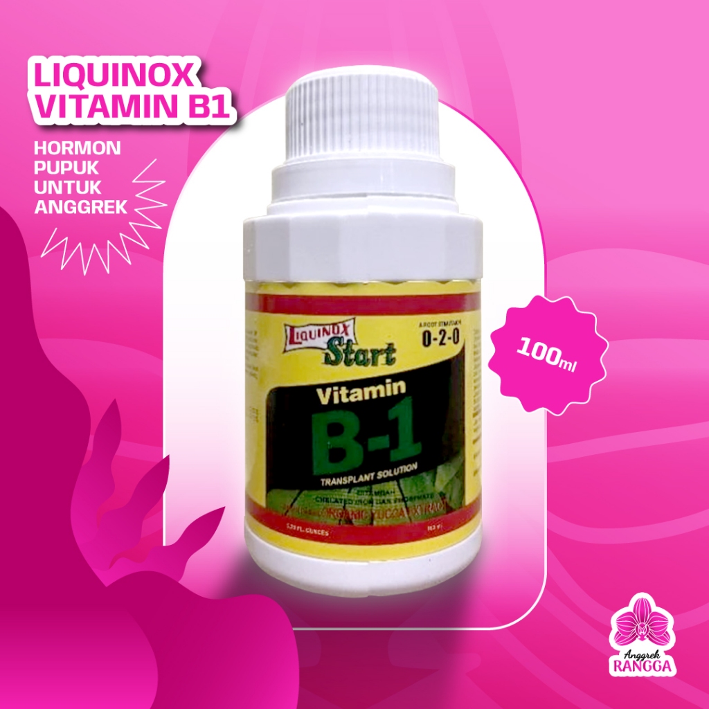 LIQUINOX VITAMIN B1 100ML HORMON PUPUK UNTUK ANGGREK