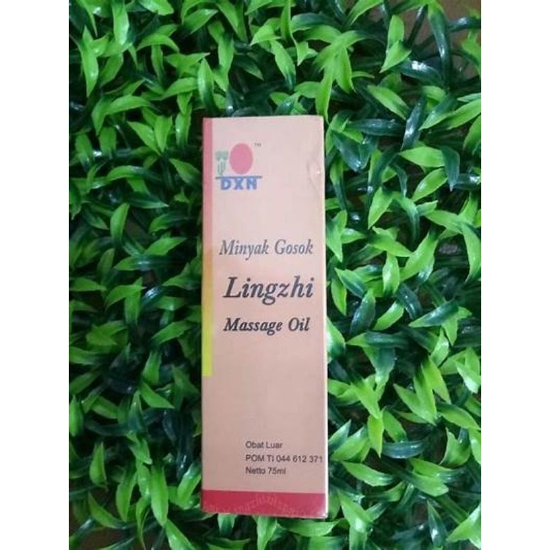 DXN DAXEN Daehsan Minyak Lingzhi