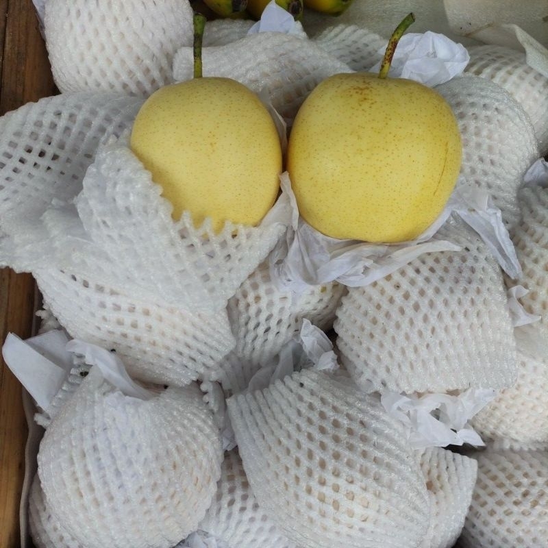 

PEAR CENTURY
