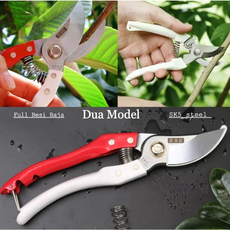 Gunting Berkebun Pemotong Stek Pruning Pangkas Dahan Daun Bunga Kopi / Gunting Bonsai Ranting Pohon 