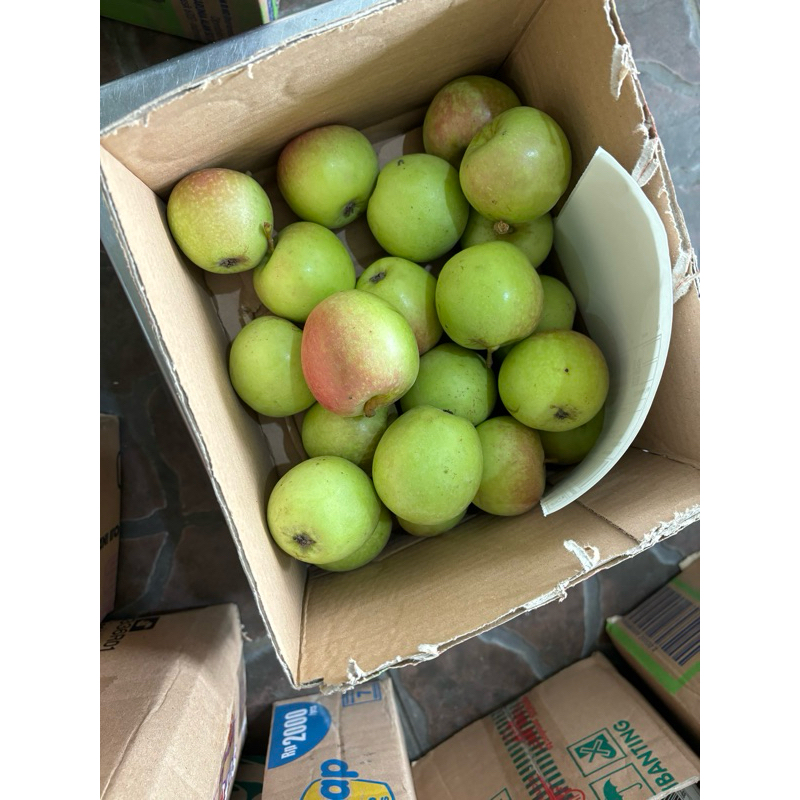 

Apel malang kecil ukuran 18-20 dalam 1kg cocok untuk jus atau salad buah