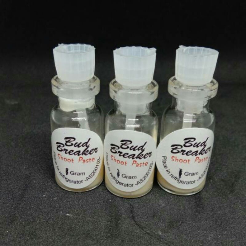 Bud Breaker Keiki Paste Salep Penumbuh Tunas Anggrek 1 gram