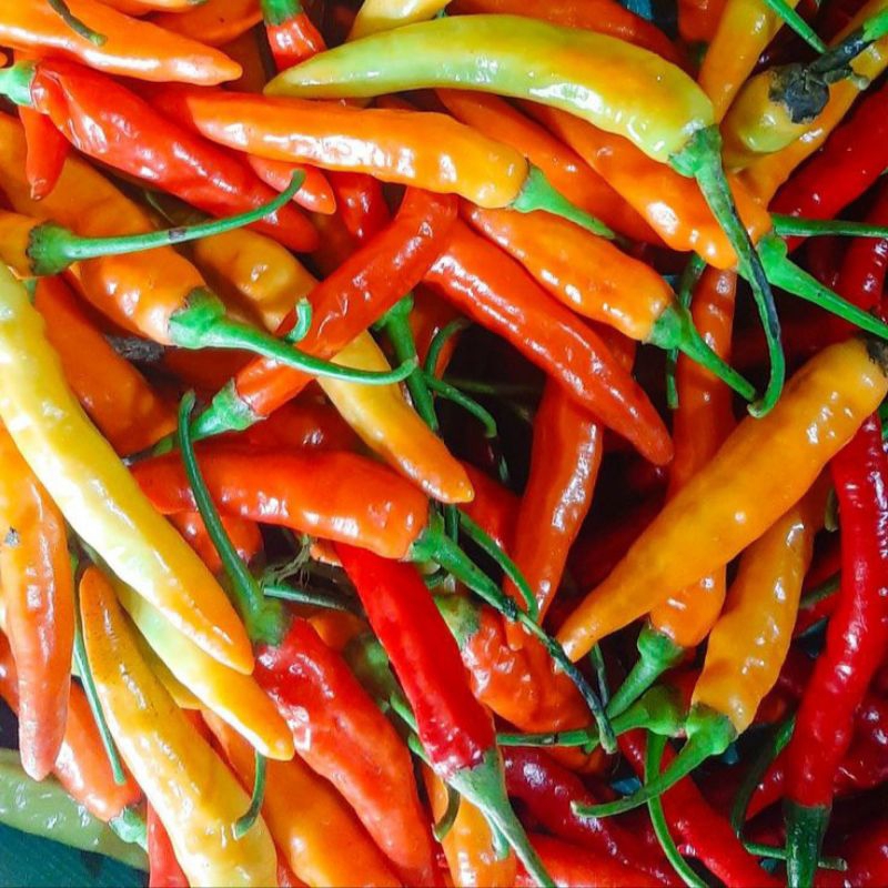

Cabe Cabai Rawit Merah 500 gr