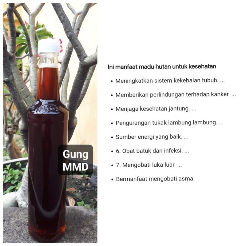 

madu Liar 1 kg (Cerana, Gung, Dorsata Jawa)