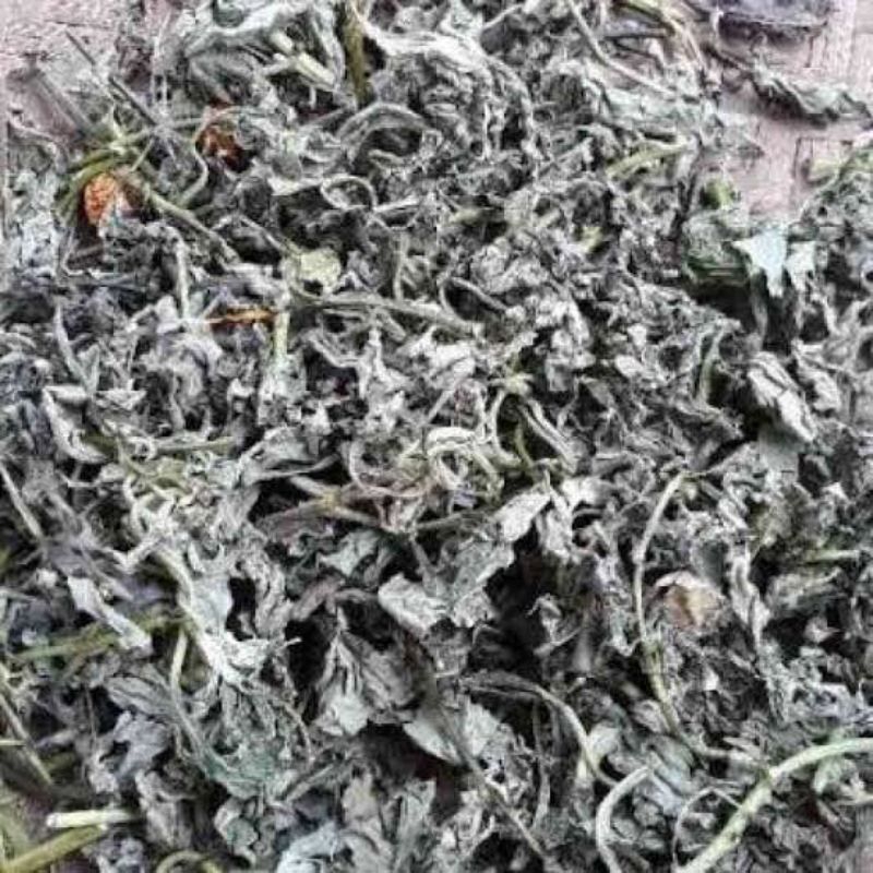 

Teh Daun insulin Kering Kemasan isi 100 Gram