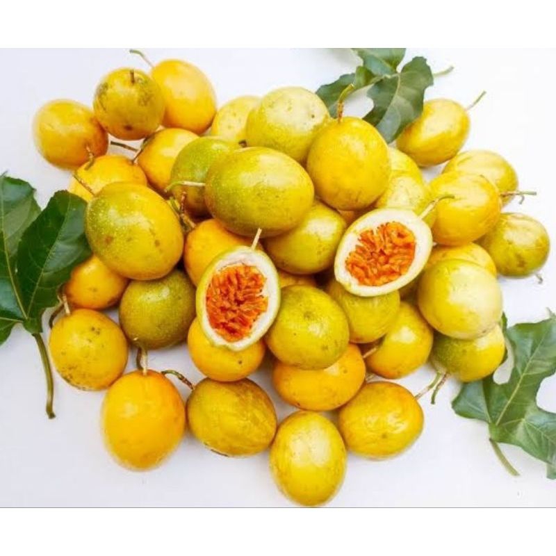 

buah markisa asak / matang super fesh 1kg