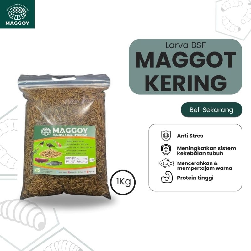 Maggot Kering 1kg maggot kering 1 kg maggot BSF pakan ikan koi chana arwana kura-kura sugarglider