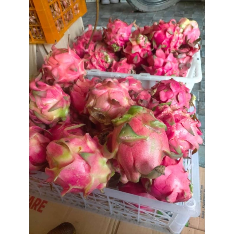 

Buah naga harga per 1/2kg untuk jus/sop buah/ lainnya