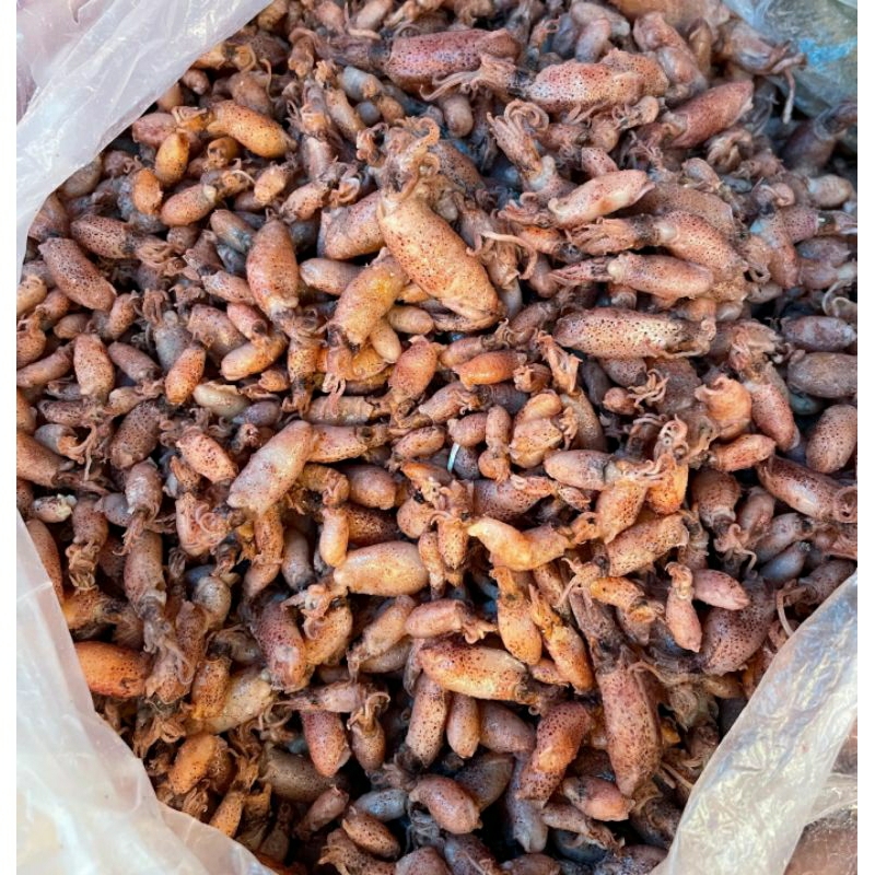 

babycumi@500gr/cumikering