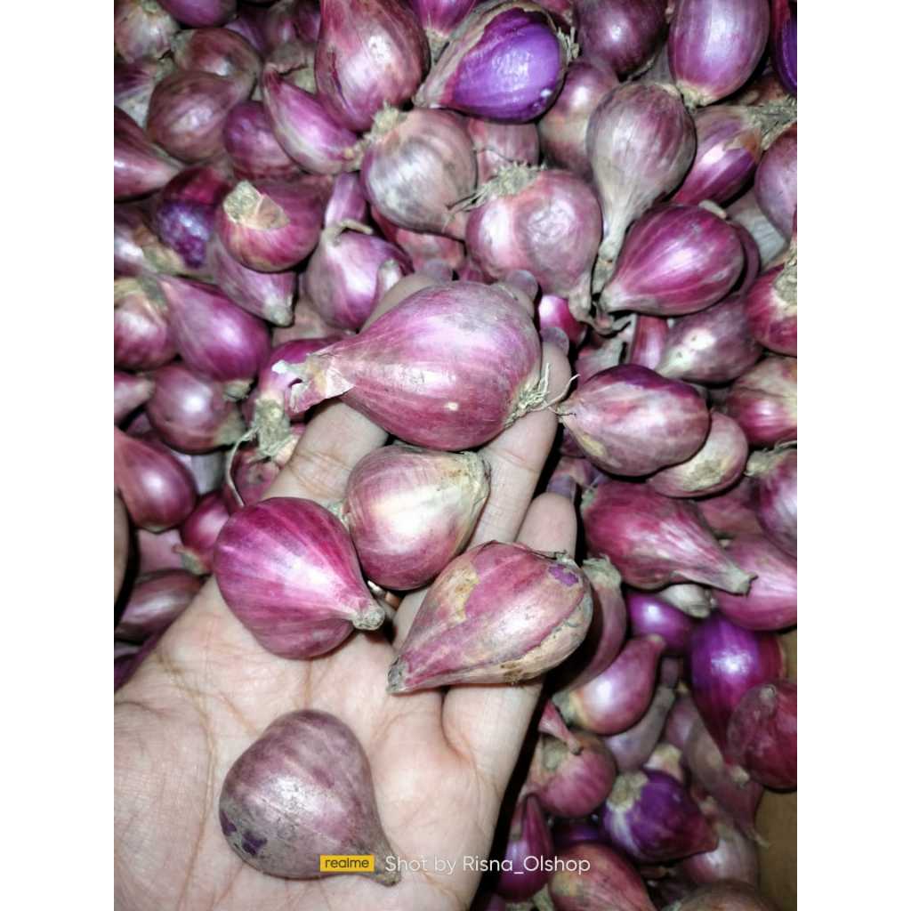 

BAWANG MERAH KILOAN