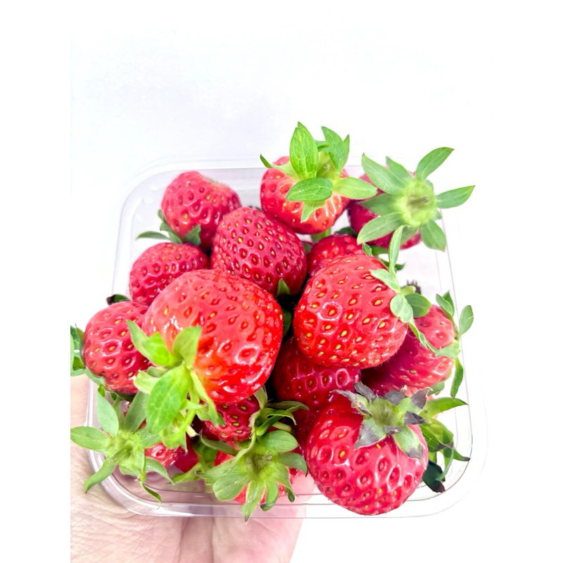 

Lebry Fruits - Korean Strawberry Seoulhyang