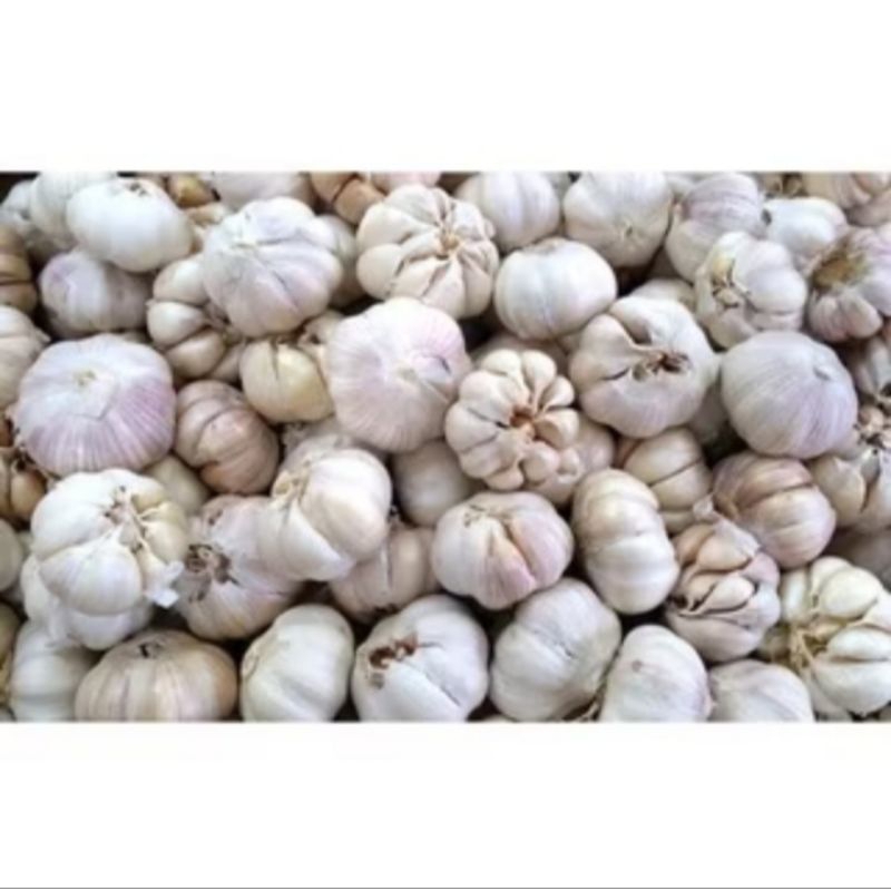 

Bawang putih 500gr
