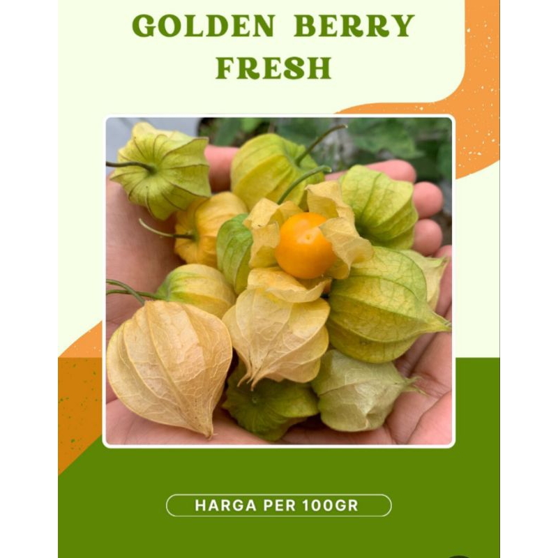 

golden berry / ciplukan harga per 100gr.