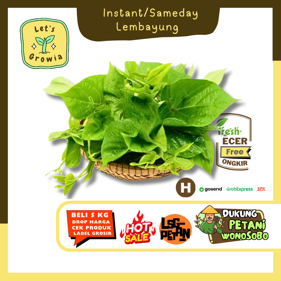 

Growia | Daun Lembayung (H) - Hasil Petani Langsung Ecer (H)0