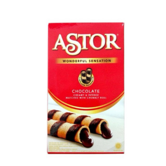 

ASTOR Wafer Stick Double Chocolate 40 g