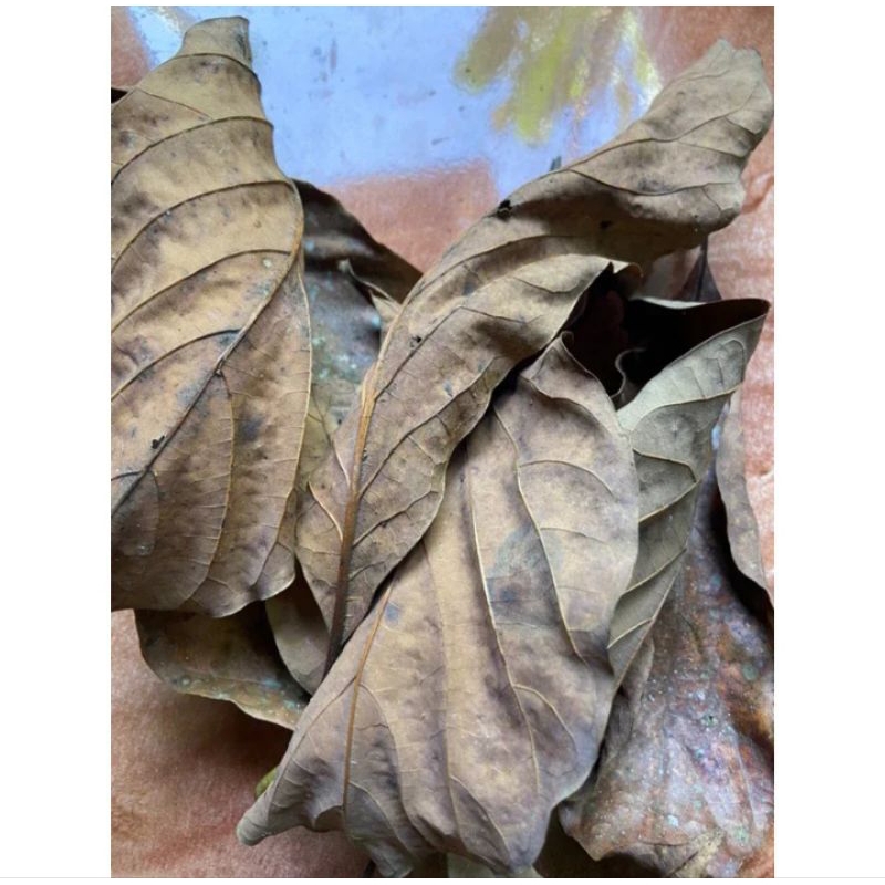 

Daun alpukat kering organik 250 gram