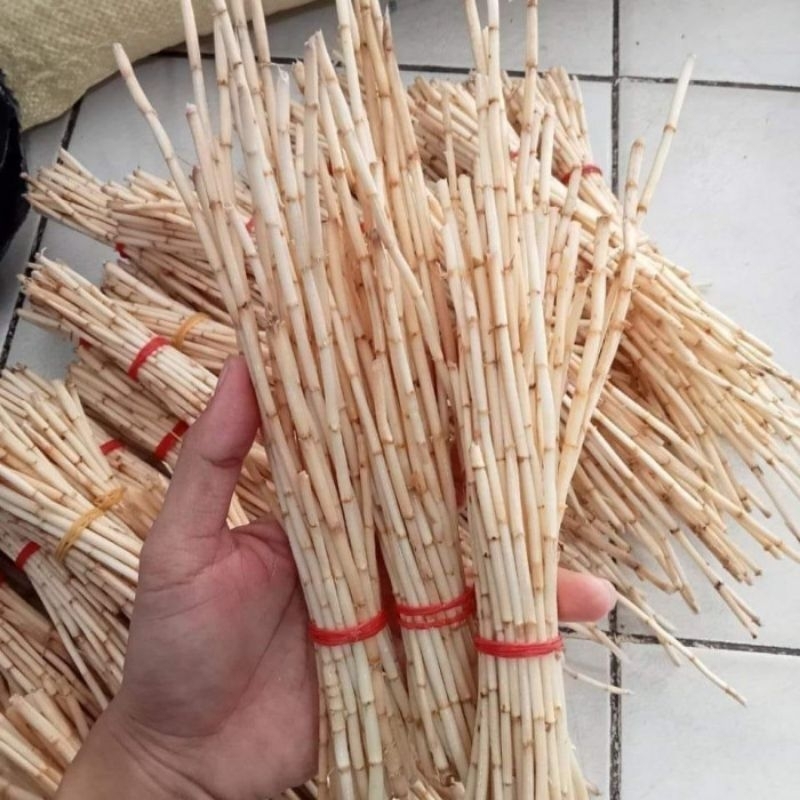 

Akar Alang- Alang 300gr (herbal tradisional) Alang Alang fresh segar/akar Alang Alang obat herbal