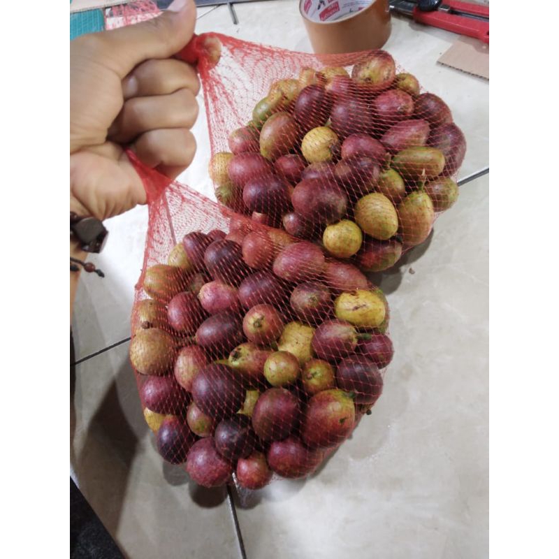 

BUAH MATOA MANIS SEGAR 2KG