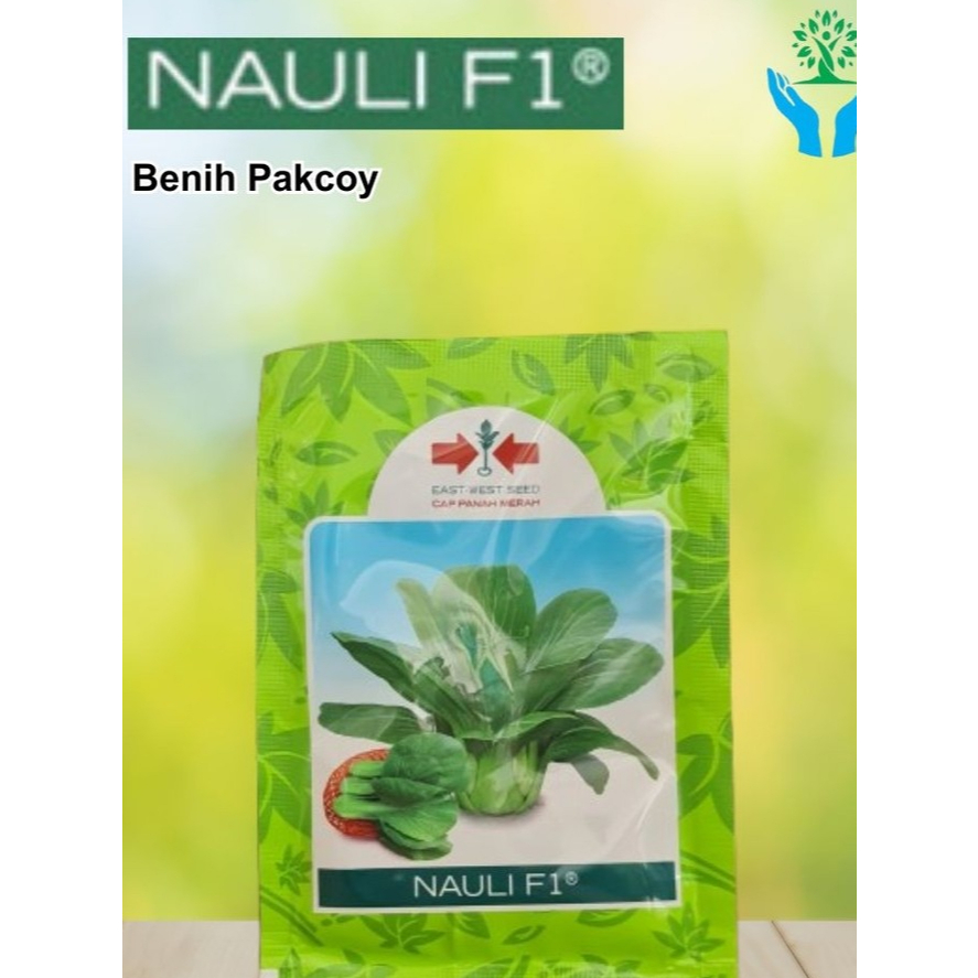 Benih Pakcoy Nauli F1 - Benih Panah Merah