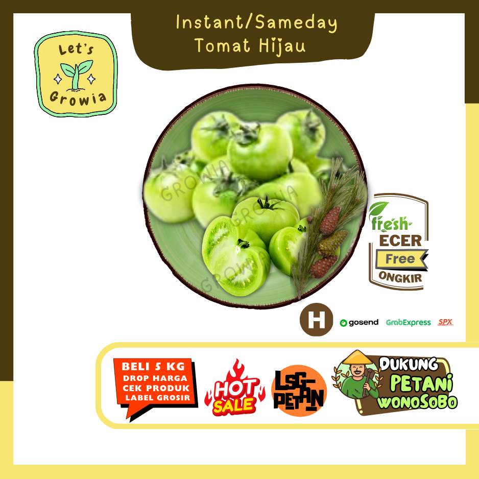 

Growia || Tomat Hijau -- Hasil Petani Langsung Ecer Sayur gunung (H)