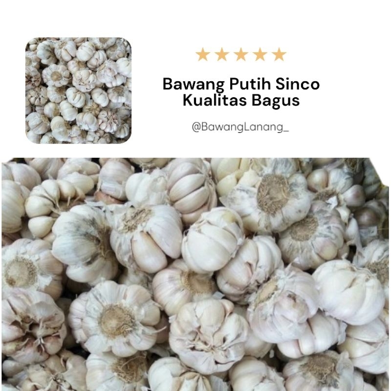 

Bawang Putih Honan Sinco Berkualitas 1/2Kg