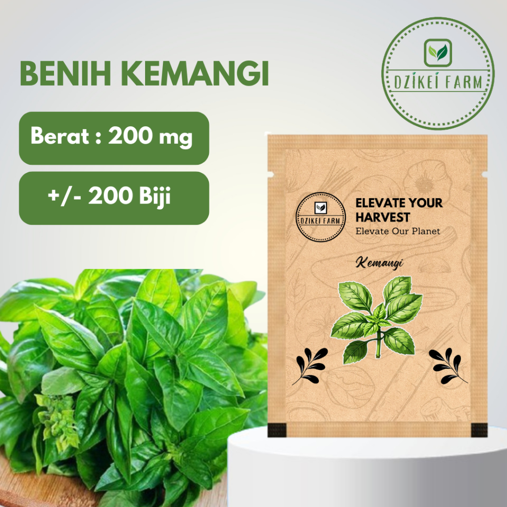 Benih Seribuan Bibit Sayuran Kemangi Lalapan +/- 200 Biji Daun Lebar Bisa Untuk Hidroponik