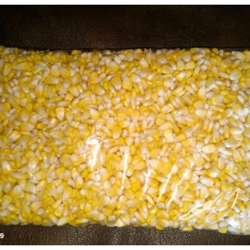 

1 kg jagung manis pipil segar kualitas A