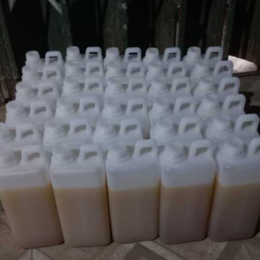 

madu akasia hitam, madu kelengkeng, madu randu