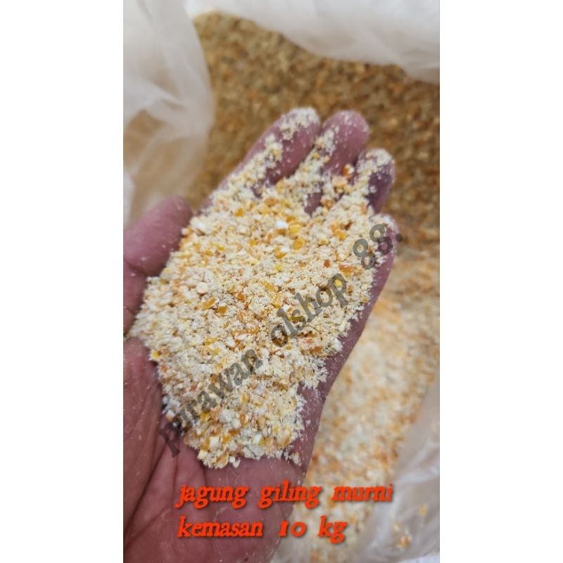 

jagung giling murni kemasa 10 kg