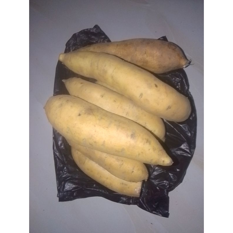 

ubi Cilembu si madu isi(9 )Sampay(14) per 1kg