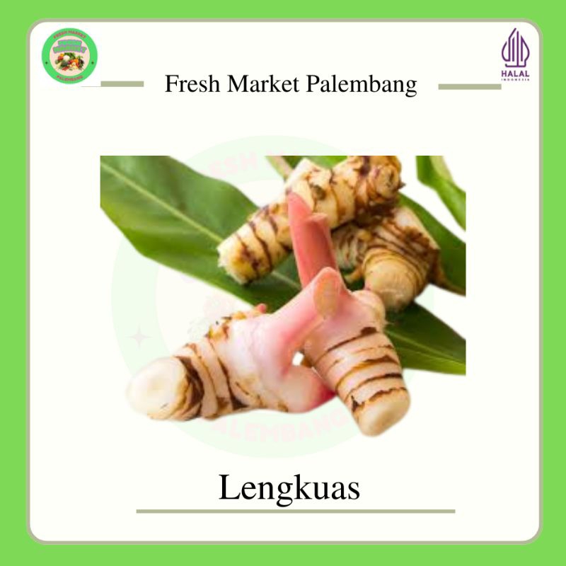 

Lengkuas Laos -Fresh Market Palembang-