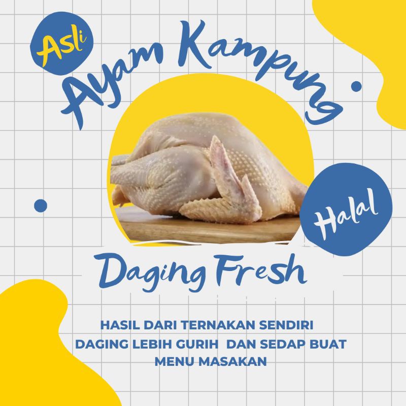 

Ayam kampung asli fresh jual ekoran hidup