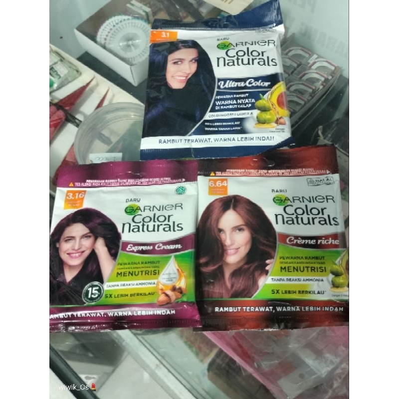 GARNIER SACHET HAIR COLOUR