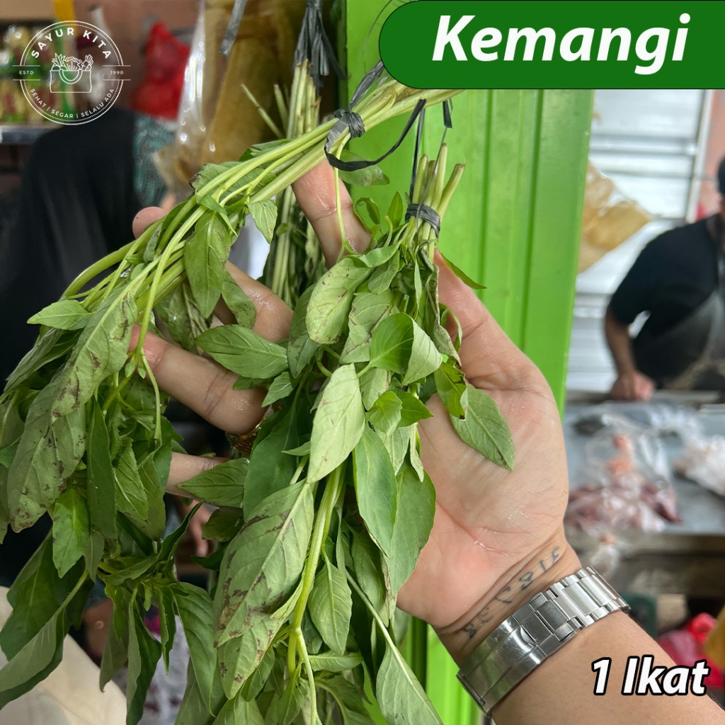 

Daun kemangi Segar Hijau | sayurkita_id