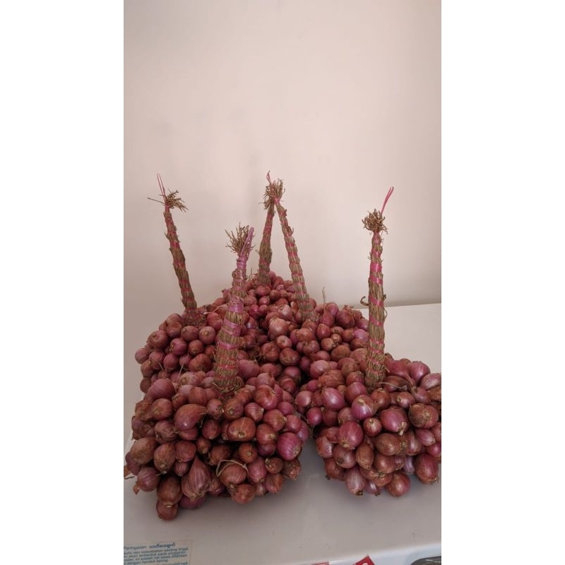 

BAWANG MERAH PROBOLINGGO UNTINGAN/IKAT 1KG