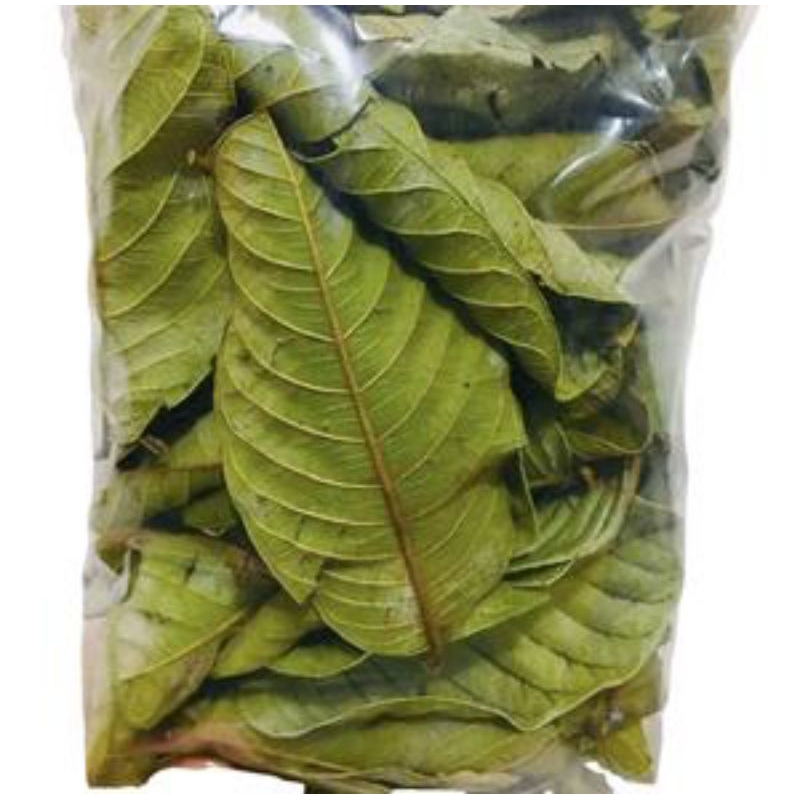 

Daun jambu biji kering 200 gram termurah