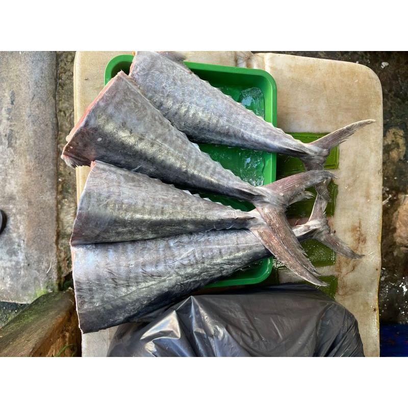 

ikan iris ikan potong tenggiri asli palembang super