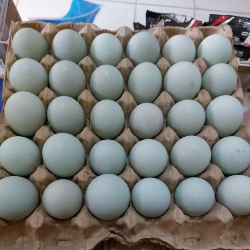 

Telur Asin Matang 1 butir