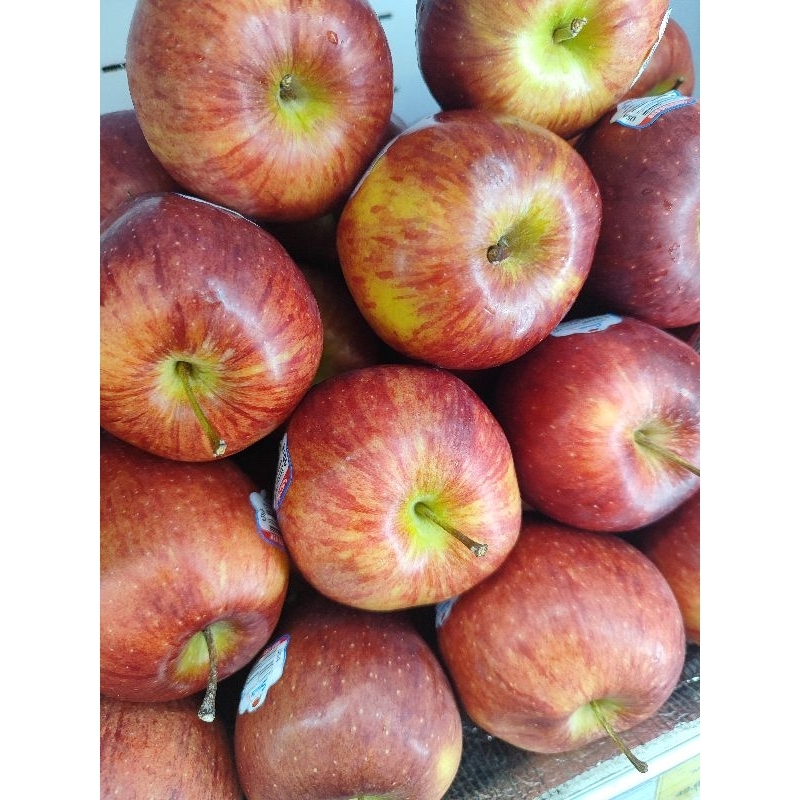 

Apel Washington 1 Kg