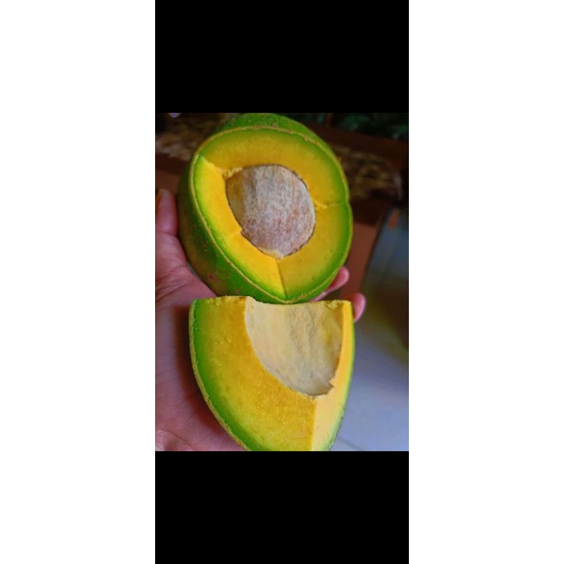 

alpukat mentega super 1kg isi 2-3