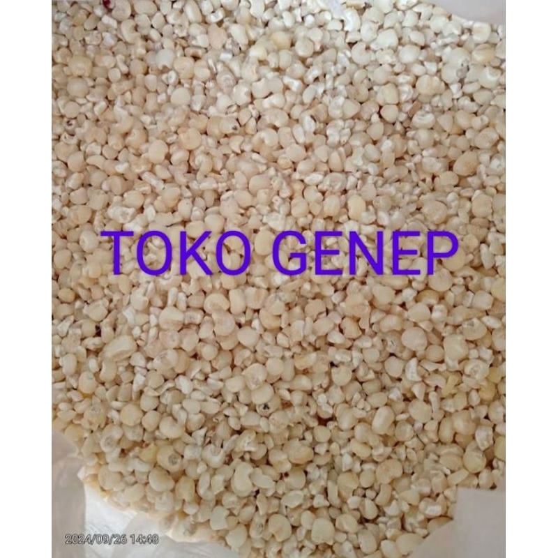 

JAGUNG PUTIH KERING 1 KG