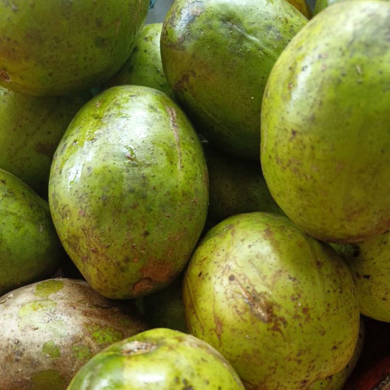 

KEDONDONG 1KG