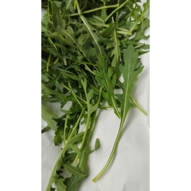 

Aragula wild rocket salad