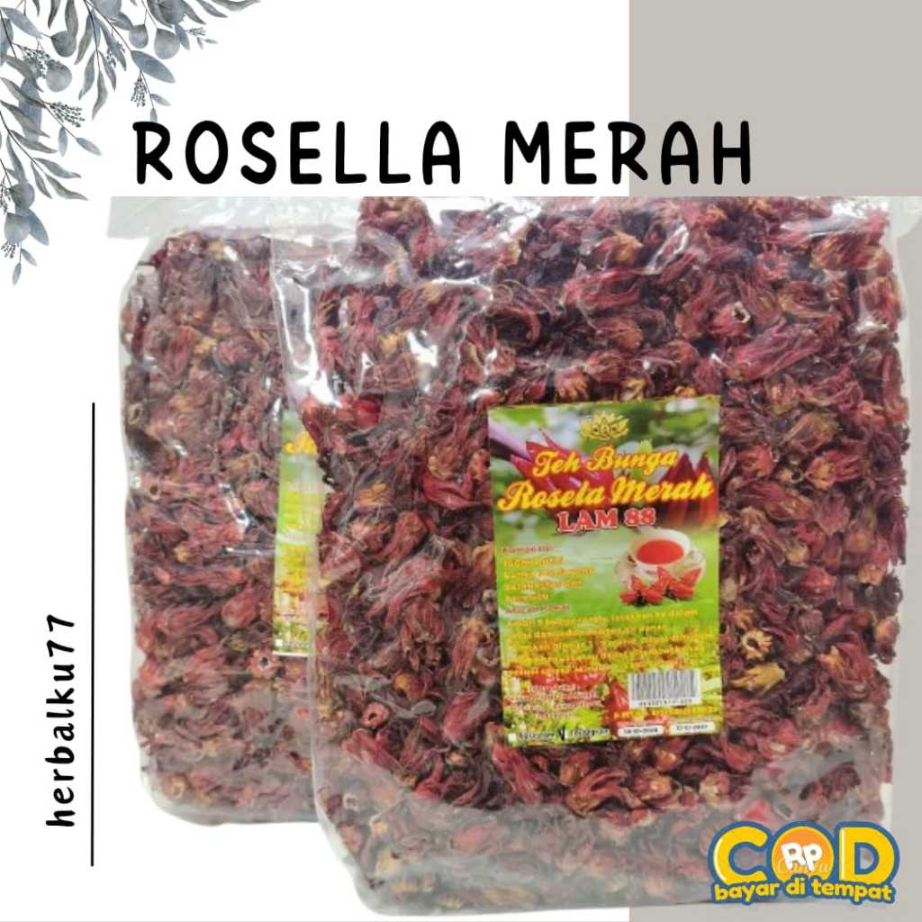

TEH BUNGA ROSELLA MERAH KERING SOLUSI DIET ALAMI