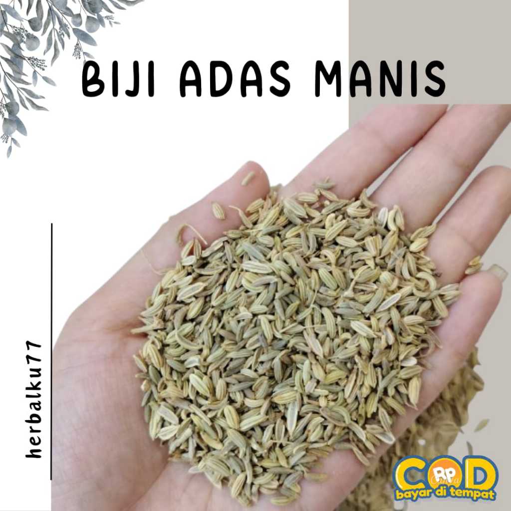 

Biji Adas Manis Alami